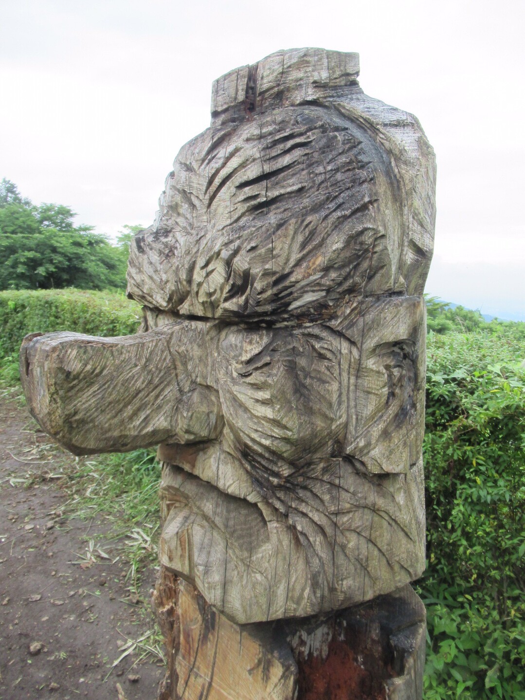 高尾山 小仏城山 小仏峠 Ryuyuさんの高尾山 陣馬山 景信山の活動日記 Yamap ヤマップ