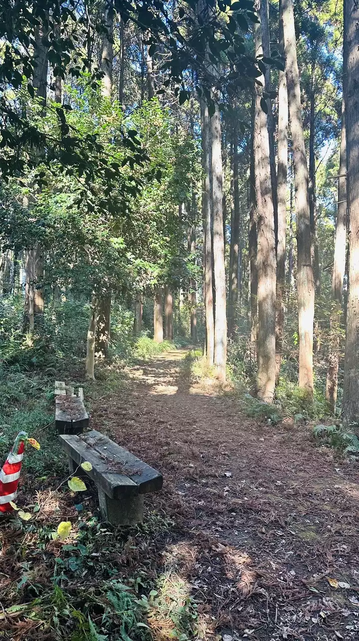デイキャンプで山テント⛺️デビュー!/千葉市昭和の森 デイキャンプで山テント⛺️デビュー!/千葉市昭和の森