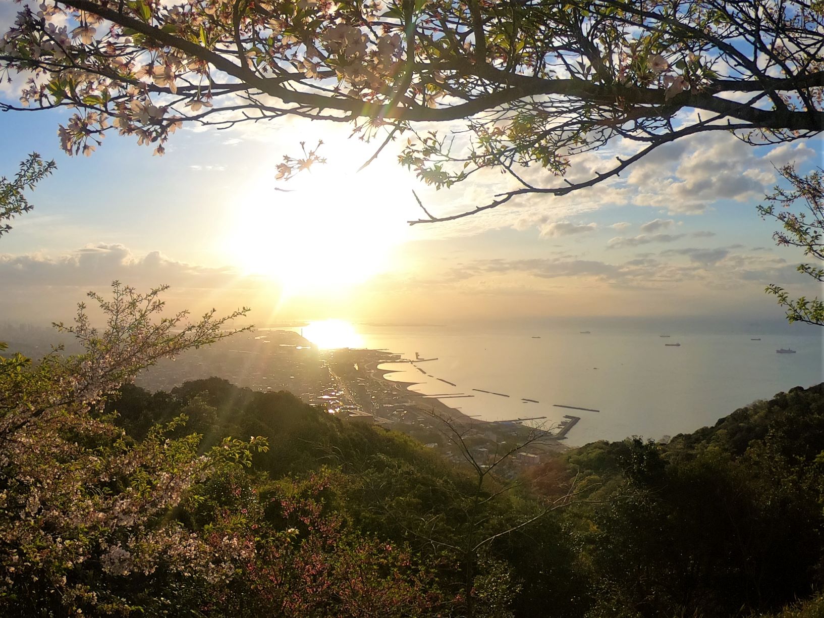 立山待春 Ninja ZX-4Rシリーズ 国内発売開始日＆価格 決定！ | 新車