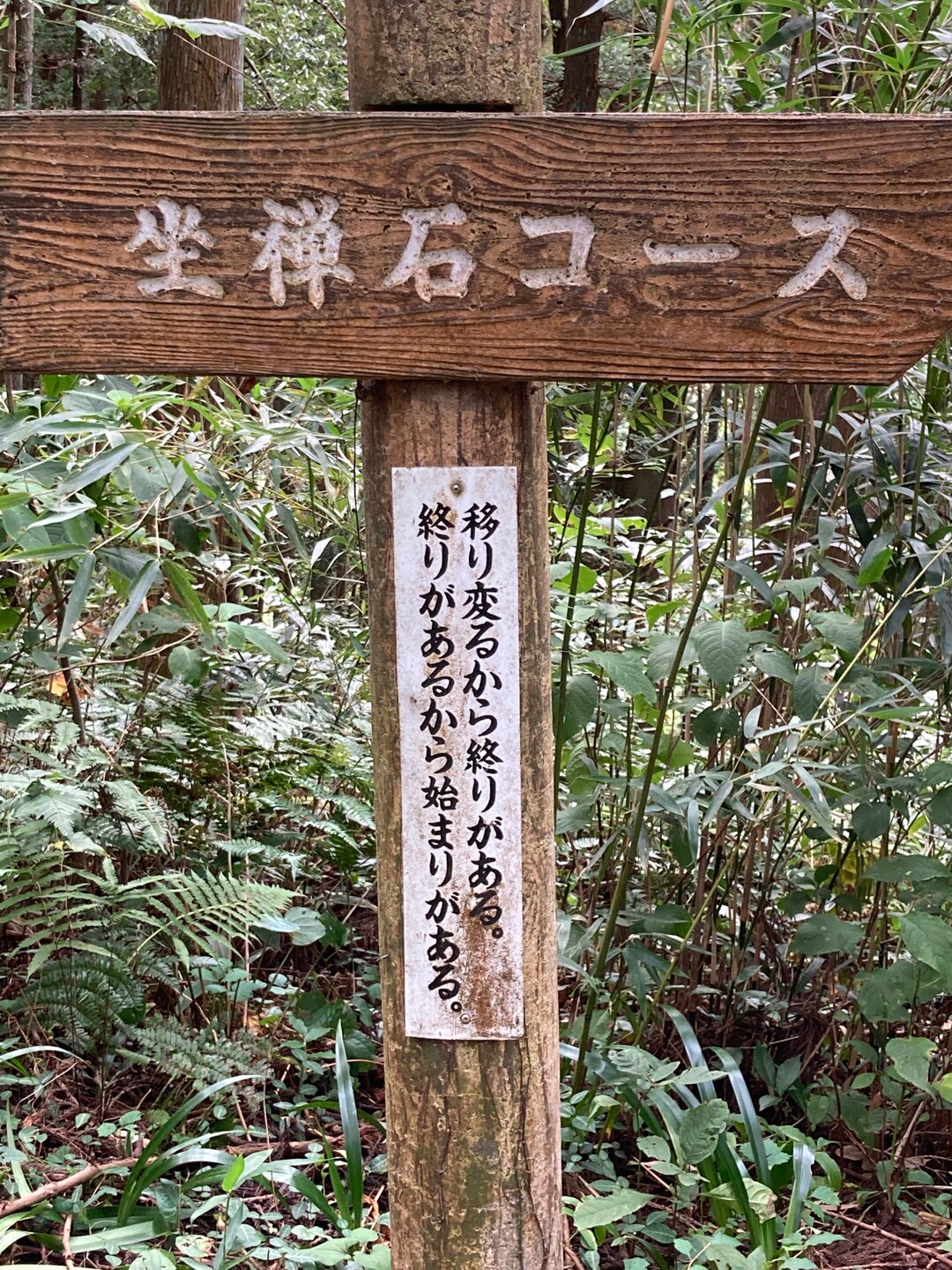 眼目山立山寺 10 16 Harumamaさんの城ヶ平山 ハゲ山 峠山の活動日記 Yamap ヤマップ