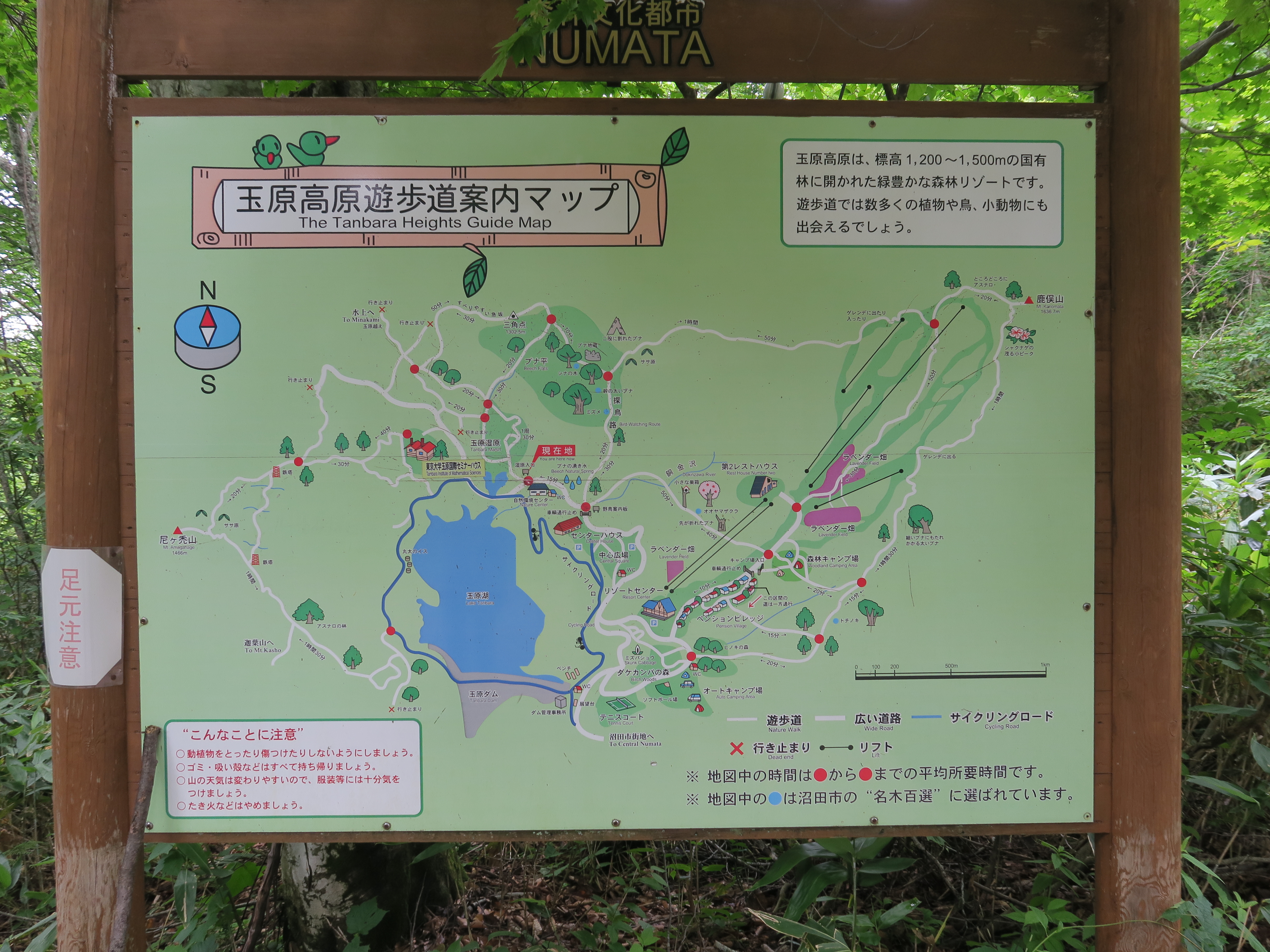 玉原湿原 07 21 Yamabitoさんの武尊山 鹿俣山 尼ヶ禿山の活動日記 Yamap ヤマップ