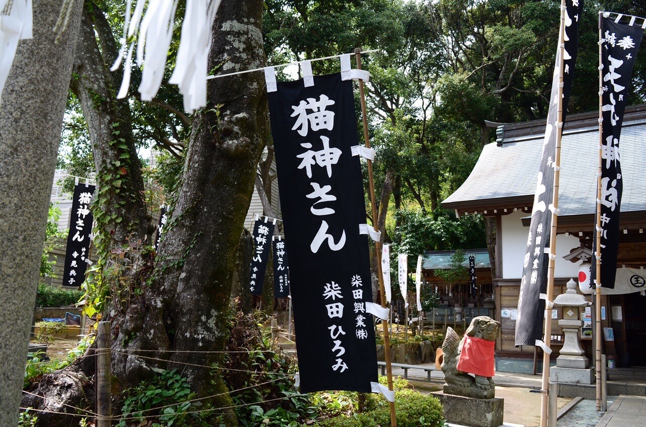 今日は徳島市の文化の森の近くの王子神社に ガーくんさんのモーメント Yamap ヤマップ