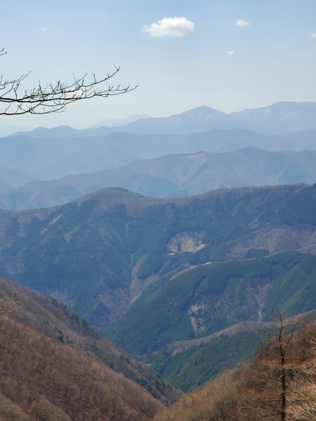 鷹ノ巣山 / 雲取山・鷹ノ巣山・七ツ石山の写真38枚目 / ヤッホーーーーー🎵 YAMAP / ヤマップ