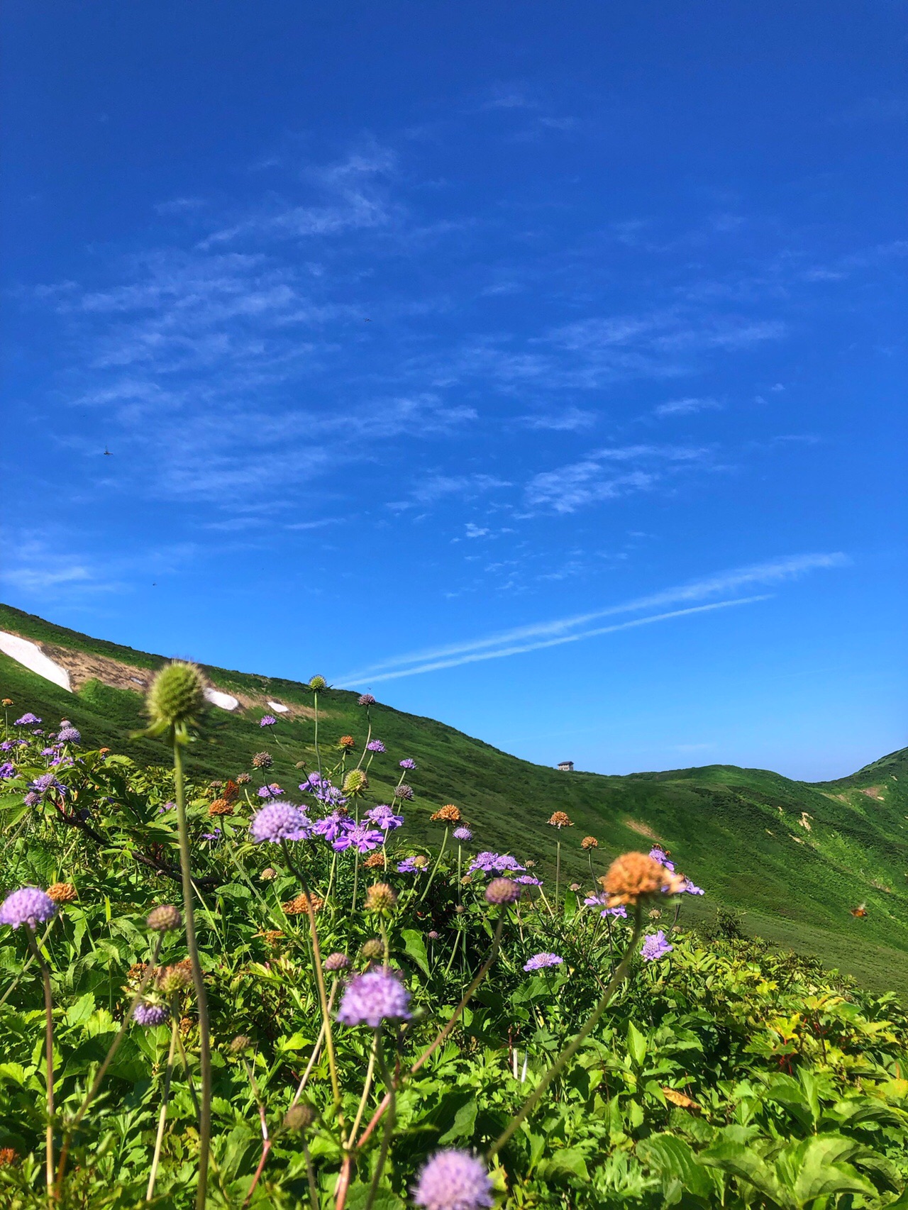 大朝日岳 激アツの日暮沢周回コース やま紳士さんの大朝日岳 朝日連峰 祝瓶山の活動データ Yamap ヤマップ