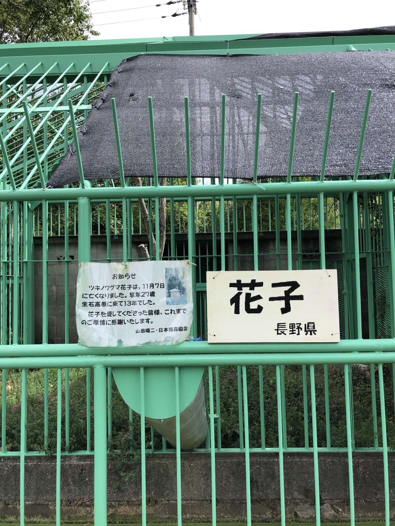 生石高原のススキと太郎に会いに ひろさんの生石ヶ峰 生石高原の活動日記 Yamap ヤマップ