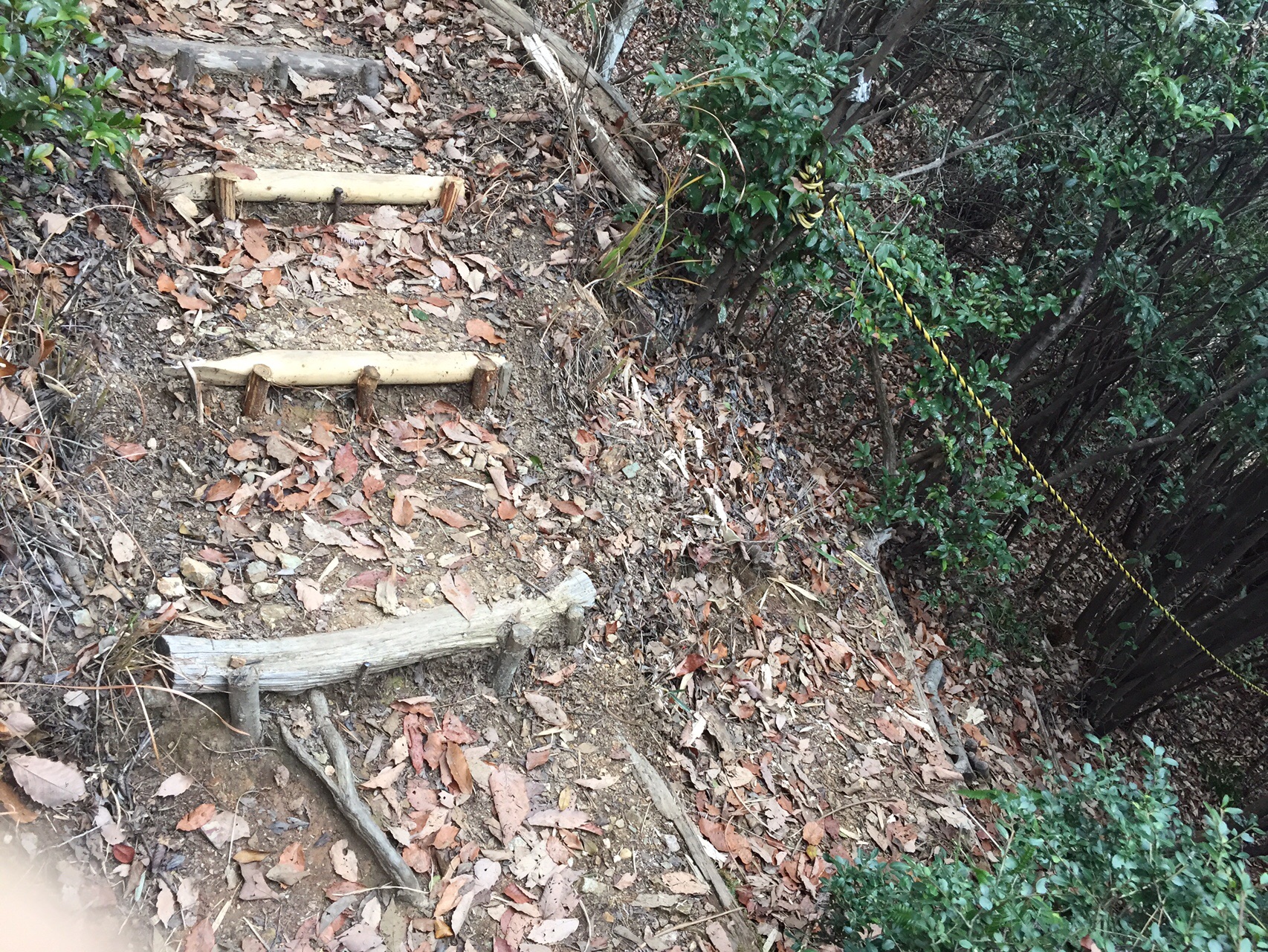 岩田山 2020 01 12 あっきぃさんの金華山 岐阜県 洞山 舟伏山の活動日記 Yamap ヤマップ