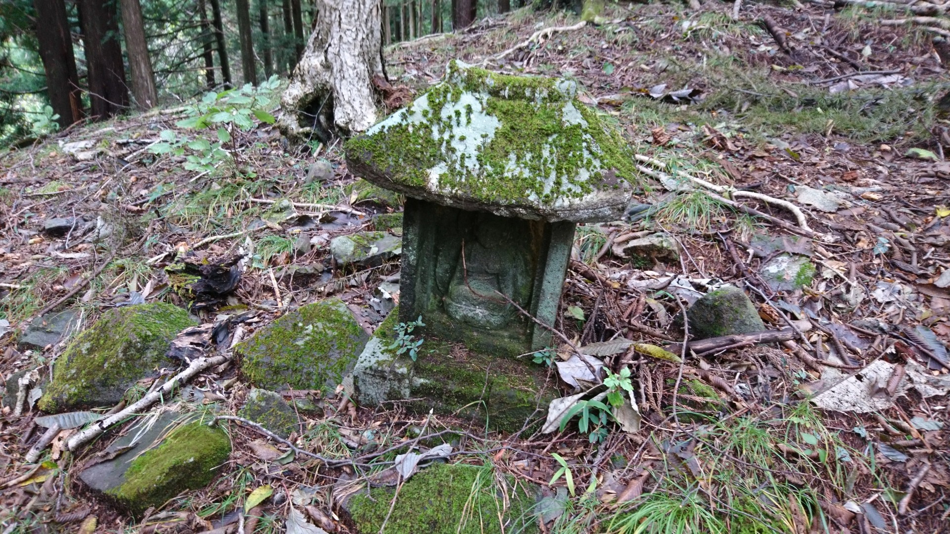修験の道つなぎ 滝ヶ原峠 合峰 鳴虫山 きたっちさんの鳴虫山 火戸尻山の活動データ Yamap ヤマップ