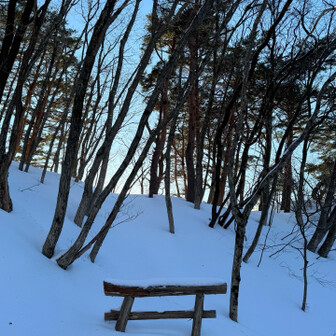 鳥海山・七高山・笙ヶ岳 神社まで戻ってきた⛩