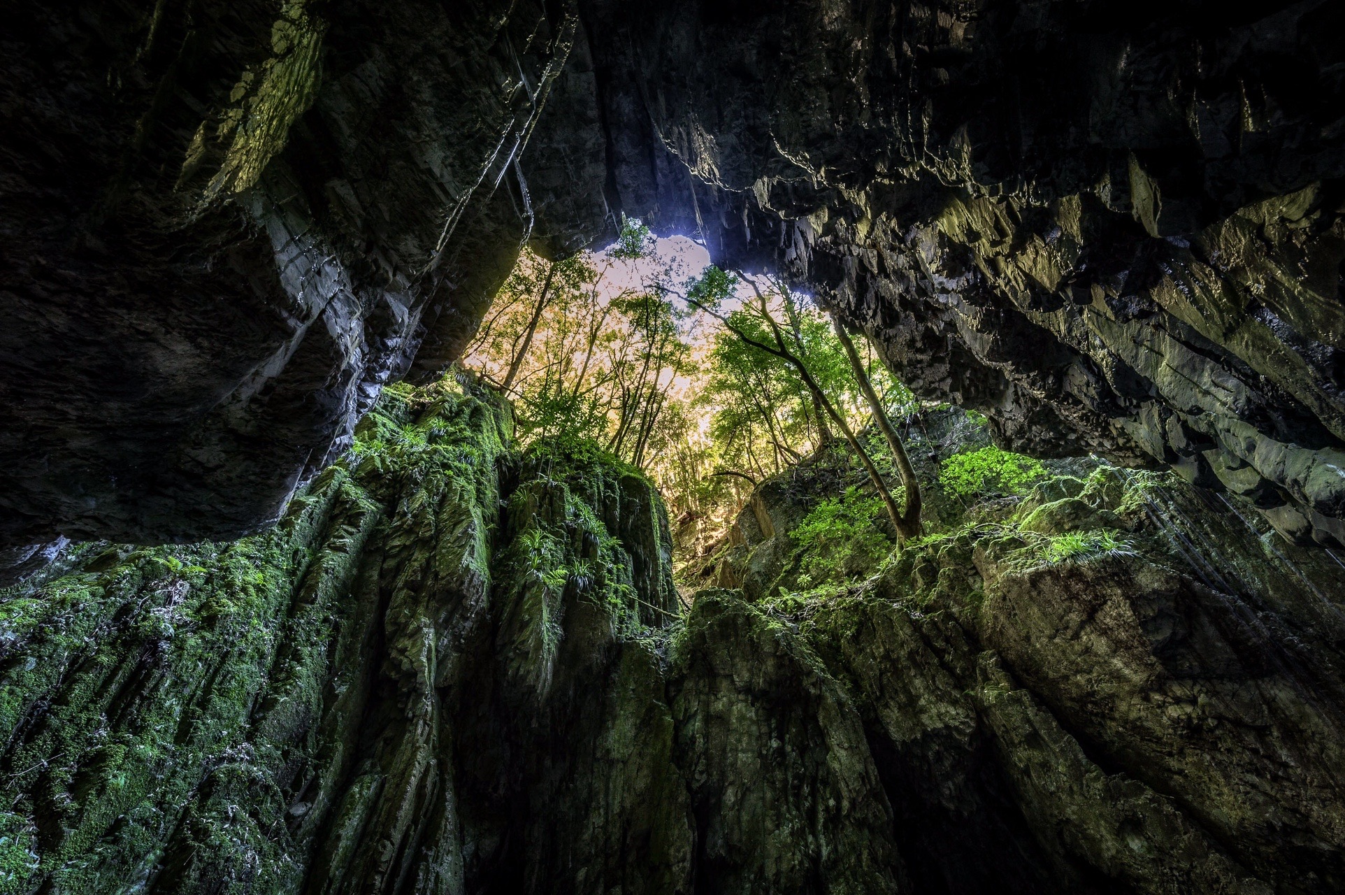 植魚の滝 ハリオの滝 08 16 ぷにもちさんの大塔山の活動日記 Yamap ヤマップ