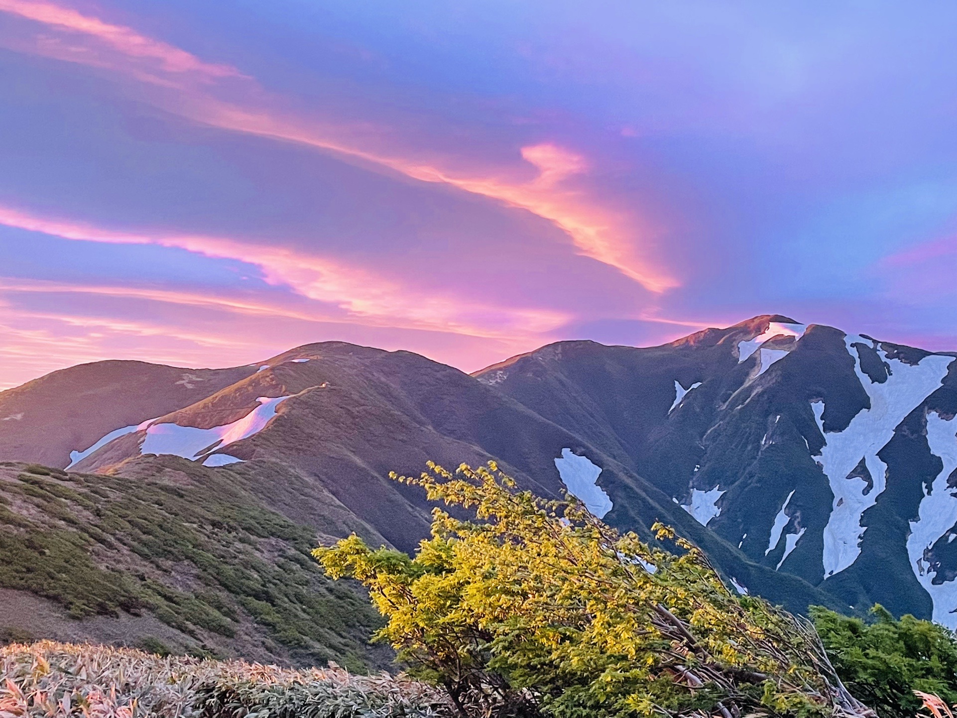 タモギや地神がモルゲン。
雲の感じも素敵！✨