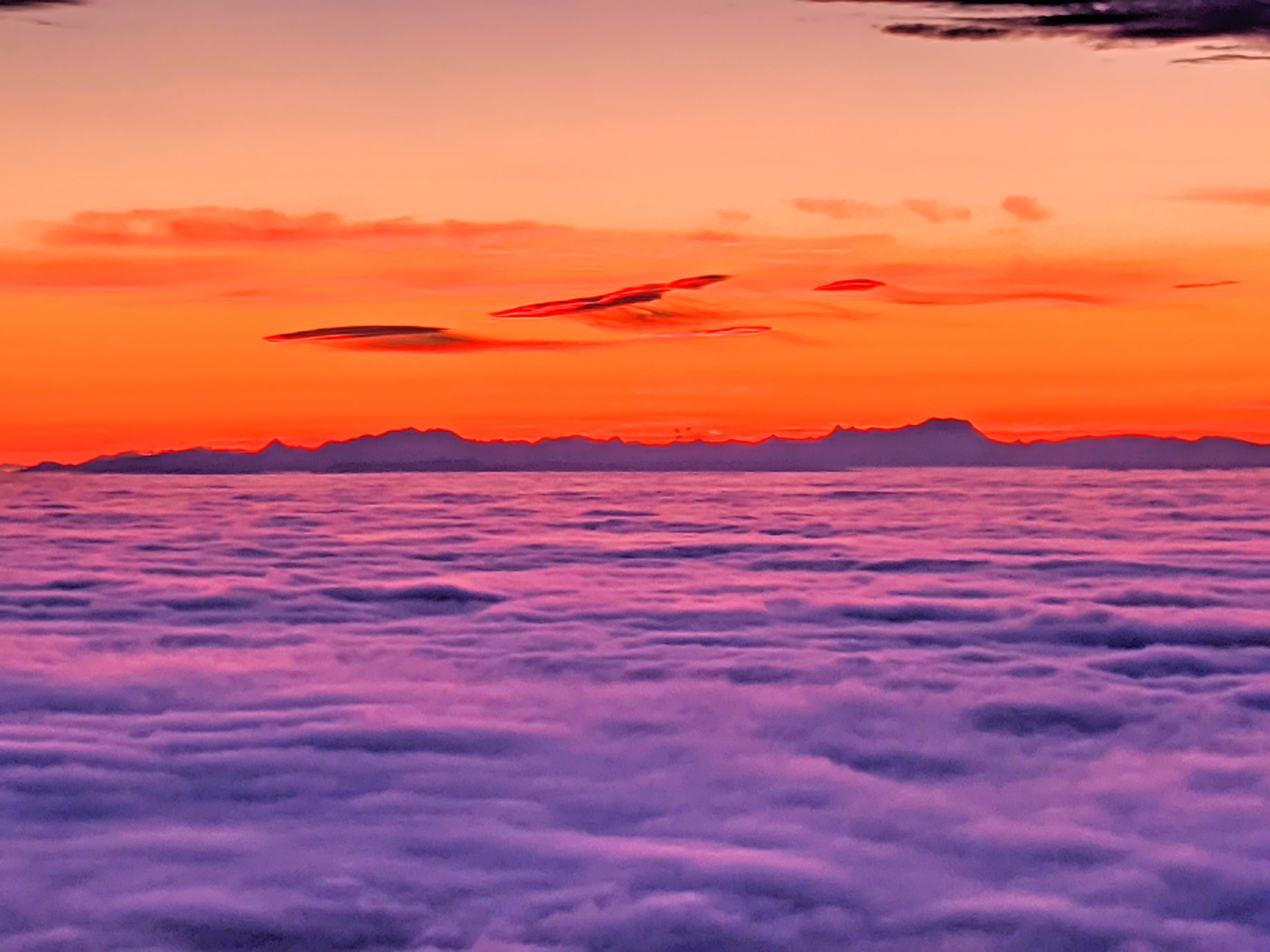 雲海サンライズ 樽前山 東山 ラニさんの樽前山 風不死岳の活動日記 Yamap ヤマップ