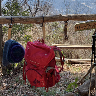 スミレ三昧の八王子城跡ハイキングコース 03 22 かなさんの高尾山 陣馬山 景信山の活動データ Yamap ヤマップ