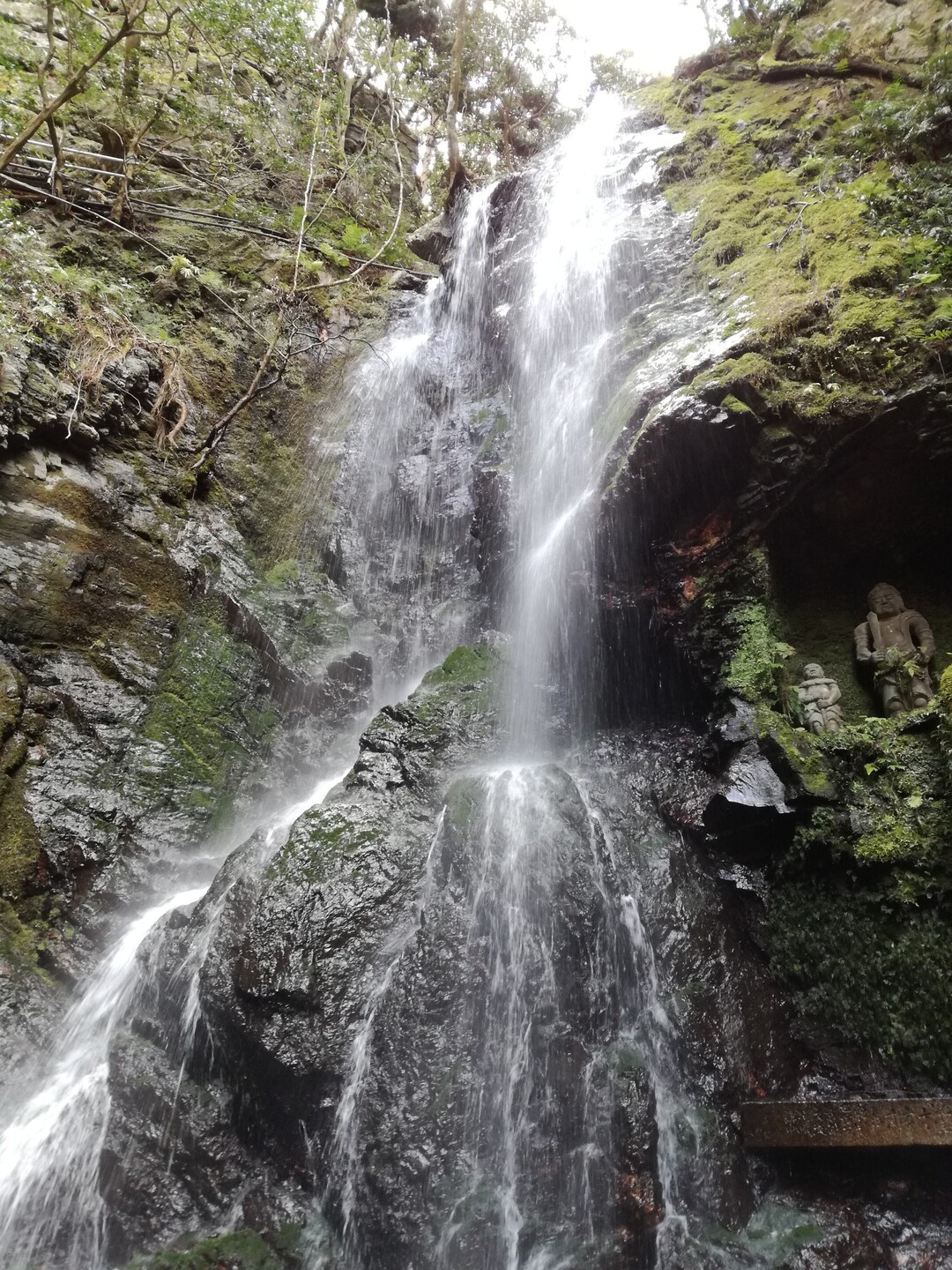 京都バス 清滝バス停ー水尾分かれー愛宕神社ー愛宕山ー月輪寺ー空也の滝ー清滝バス停 かわっちさんの愛宕山 三頭山 朝日峯の活動日記 Yamap ヤマップ
