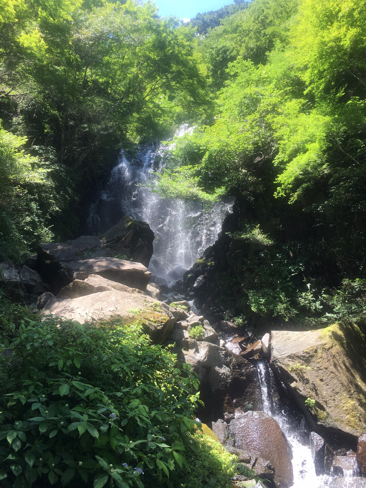 飛龍の滝 鷹巣山 千条の滝 19 08 09 Nakeyさんの箱根山 神山の活動データ Yamap ヤマップ