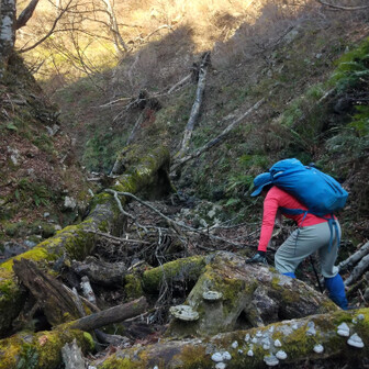 左門岳 谷に詰まった不安定な倒木を乗り越えて進みます。ちなみに倒木の上は水分が凍結している場所があって超危険です。