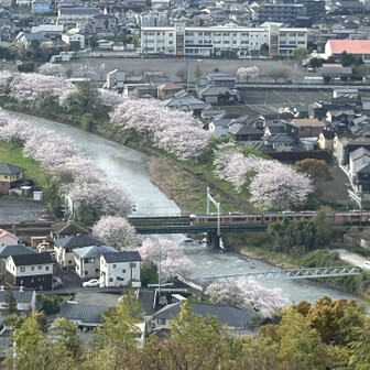 千葉山・白岩寺山 電車と桜は絵になります（ちょっと待ちました）。