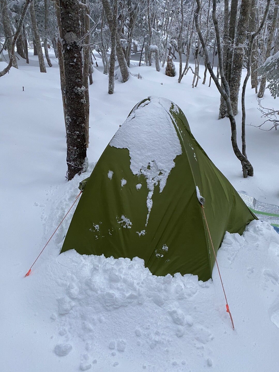 雪山テント泊 Varaderoさんの八経ヶ岳の活動データ Yamap ヤマップ
