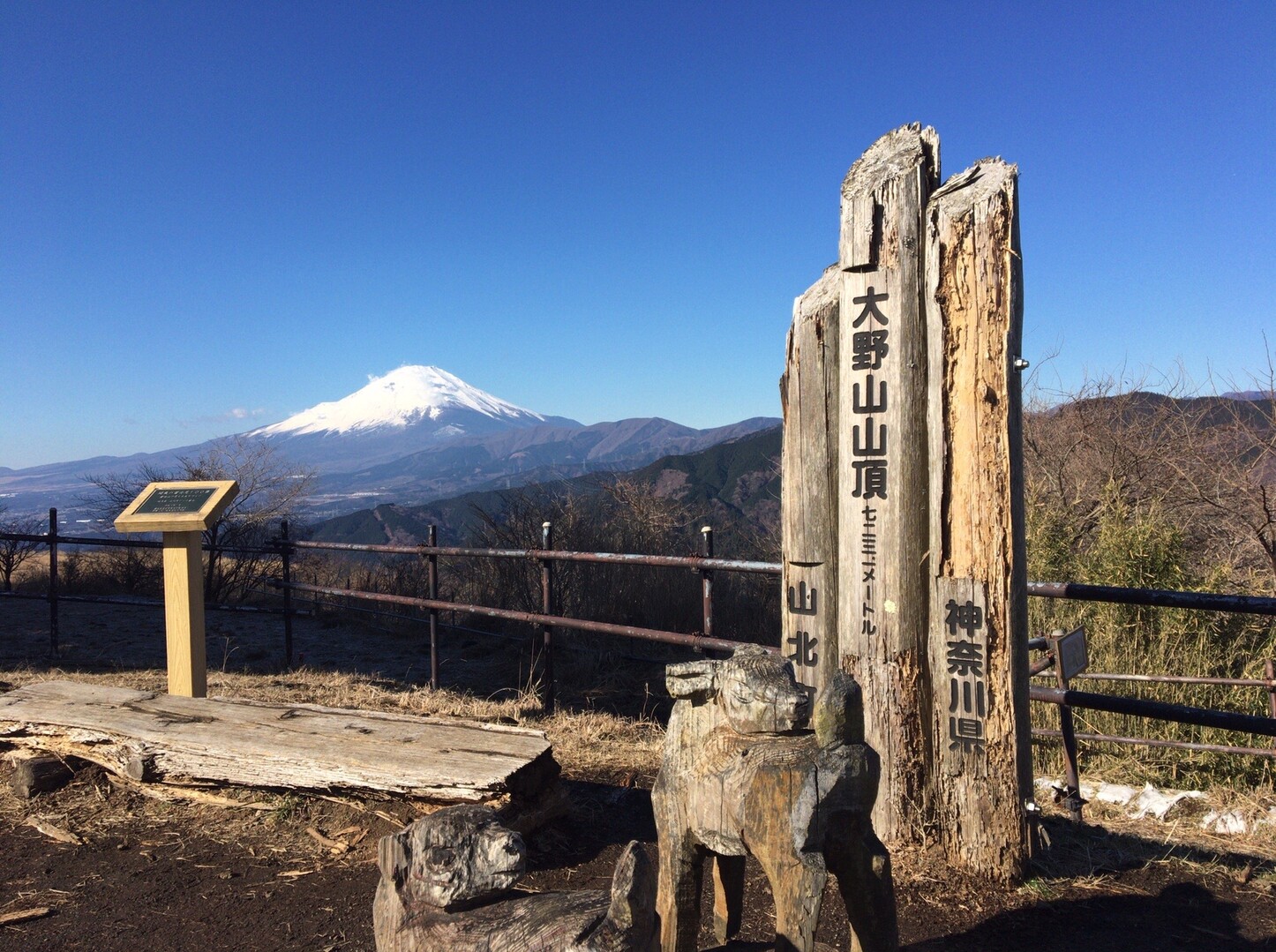 谷峨駅 大野山ハイキング 山北駅 エル丸さんの高松山 大野山の活動日記 Yamap ヤマップ