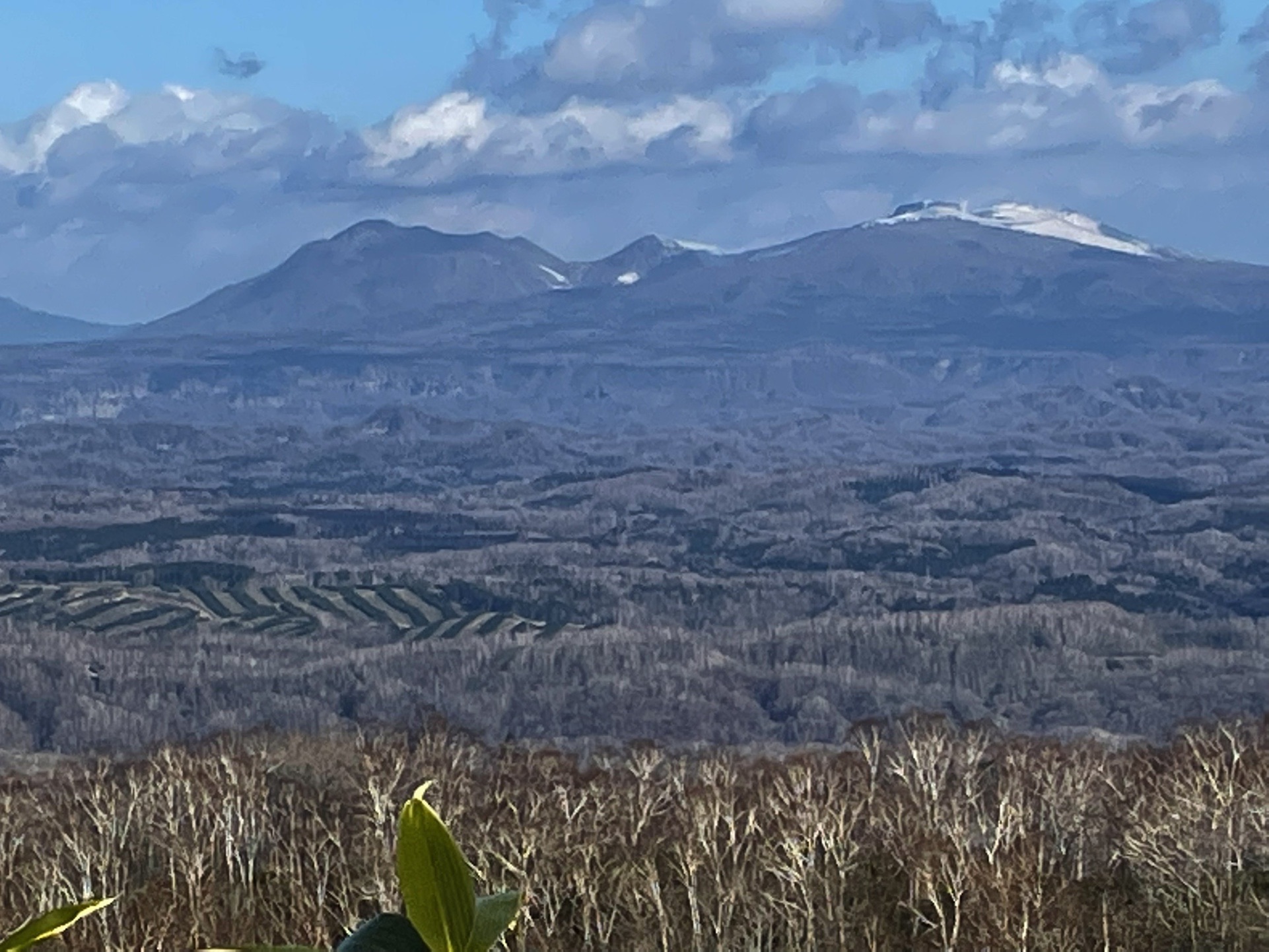 窟太郎子の最新登山情報 / 人気の登山ルート、写真、天気など | YAMAP