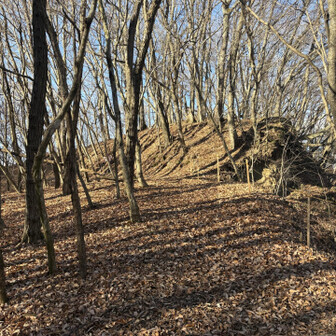 中山道（小田井宿・塩名田宿・八幡宿・望月宿・芦田宿） 胡桃沢嶺砦（望月城砦群）