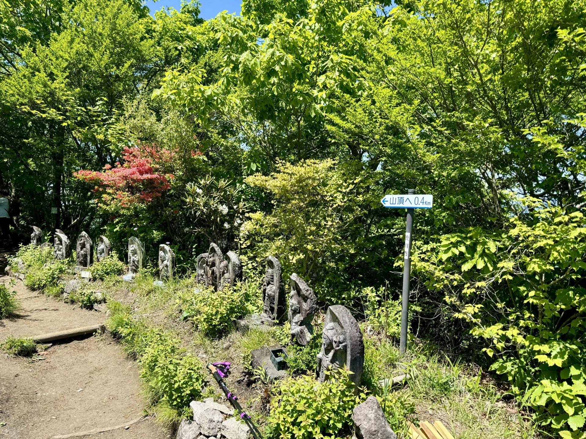 いつも見守っていただいて感謝