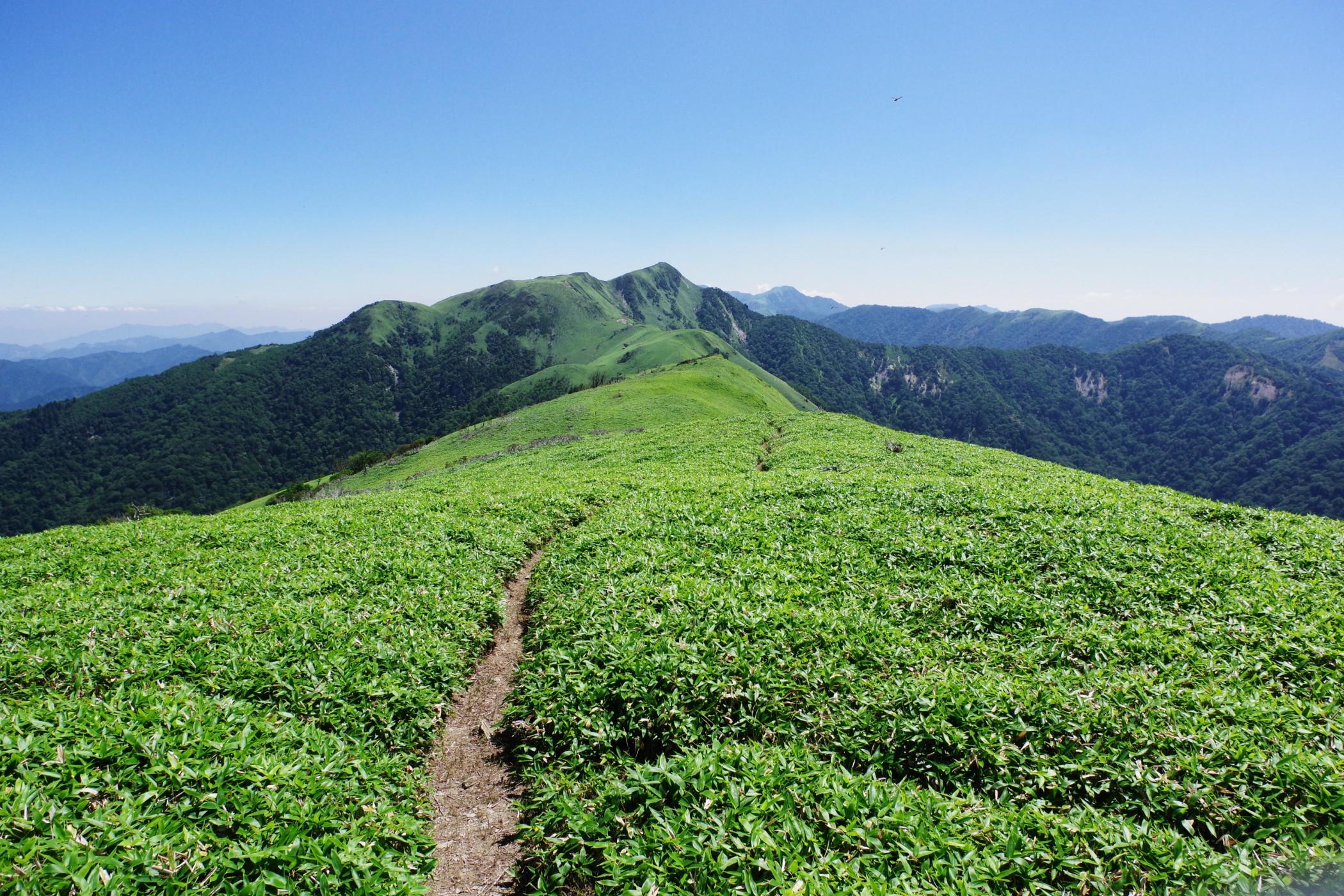 西尾八面焼徳利 T143 津軽焼・徳利・お猪口・酒器・焼物・No.230806-