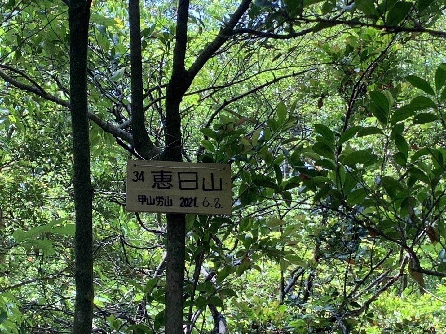 東山三十六峰 第八回（最終回）泉山 光明峰 恵日山 稲荷山 36 / まいちさんの登山の活動データ YAMAP / ヤマップ