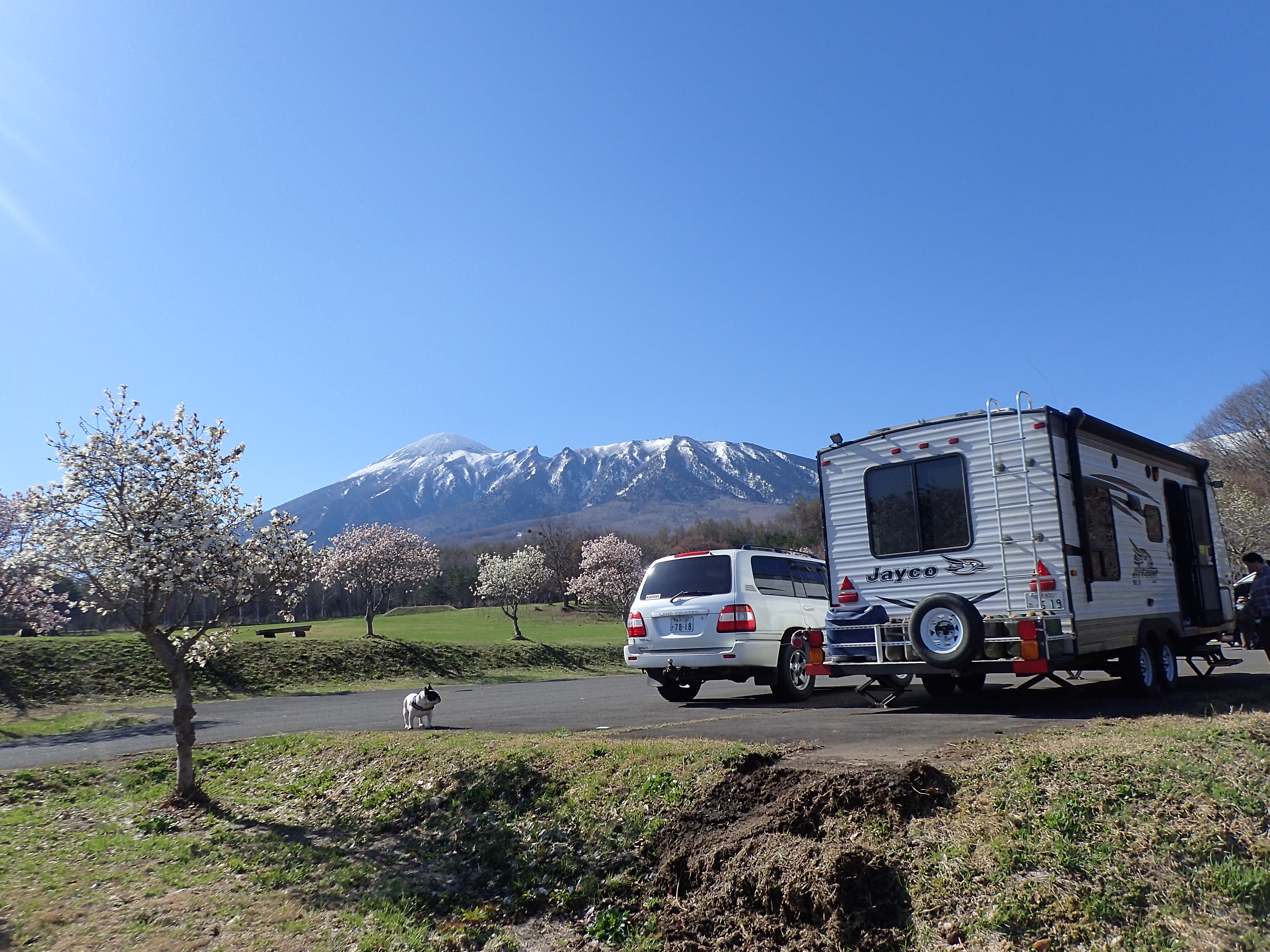 強風で転けそうだった山頂 キャンカーおじさんさんの岩手山 八幡平 安比高原 50km トレイルの活動データ Yamap ヤマップ