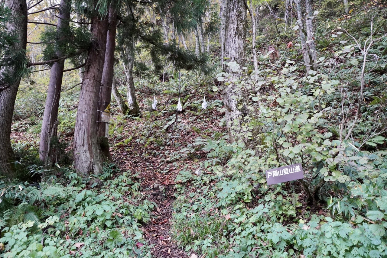 戸隠西岳縦走 破線ルートを行く シリーズにて色々ヤバすぎて記憶ぶっ飛びー グズペチャモさんの高妻山 戸隠山の活動日記 Yamap ヤマップ