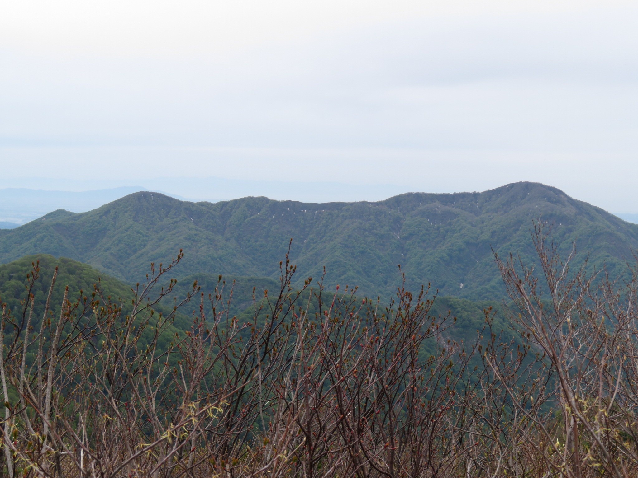 木六山・銀次郎山 白山裏側 雪見えないですね