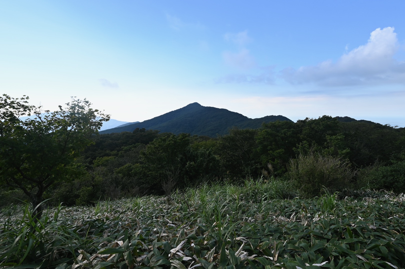 金山 福岡県 福岡 佐賀 の登山 山頂 天気 人気のルート 最新の記録 Yamap ヤマップ