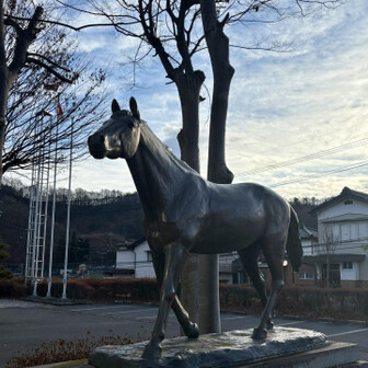 中山道（小田井宿・塩名田宿・八幡宿・望月宿・芦田宿） 望月の駒は有名