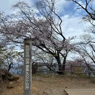 到着です。
山頂標の背後にあるのは桜の木。