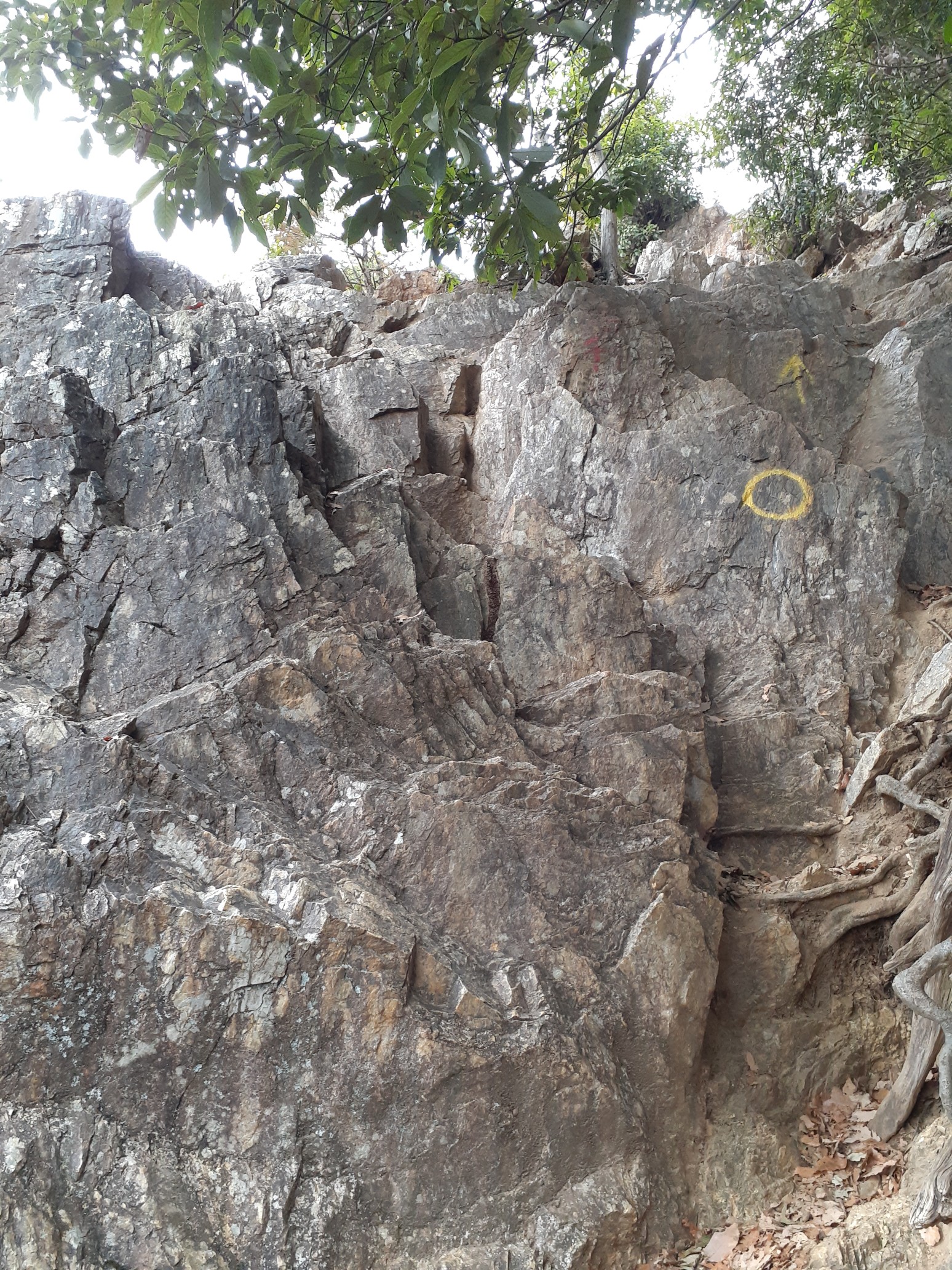 日和田山男坂 女坂19 12 21 かほばーさんの日和田山 物見山の活動日記 Yamap ヤマップ