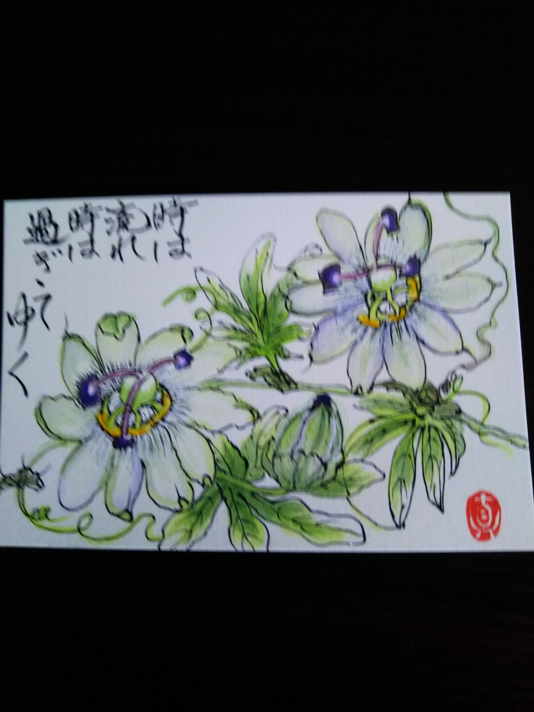 馬頭観音まで 19 06 28 矢倉岳の写真16枚目 時計草絵手紙 Yamap ヤマップ