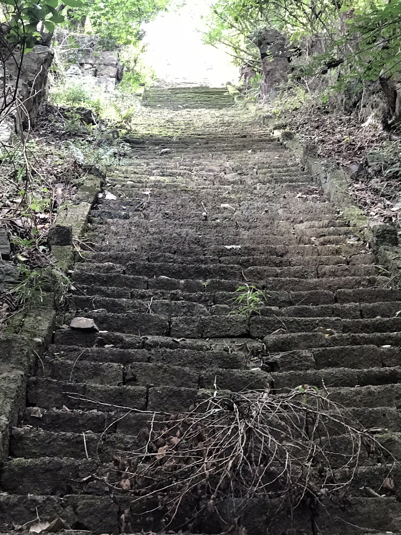 皆川城址 琴平神社 19 08 27 Keiさんの太平山 晃石山 唐沢山の活動データ Yamap ヤマップ