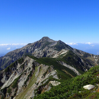 あだ名はモンマ