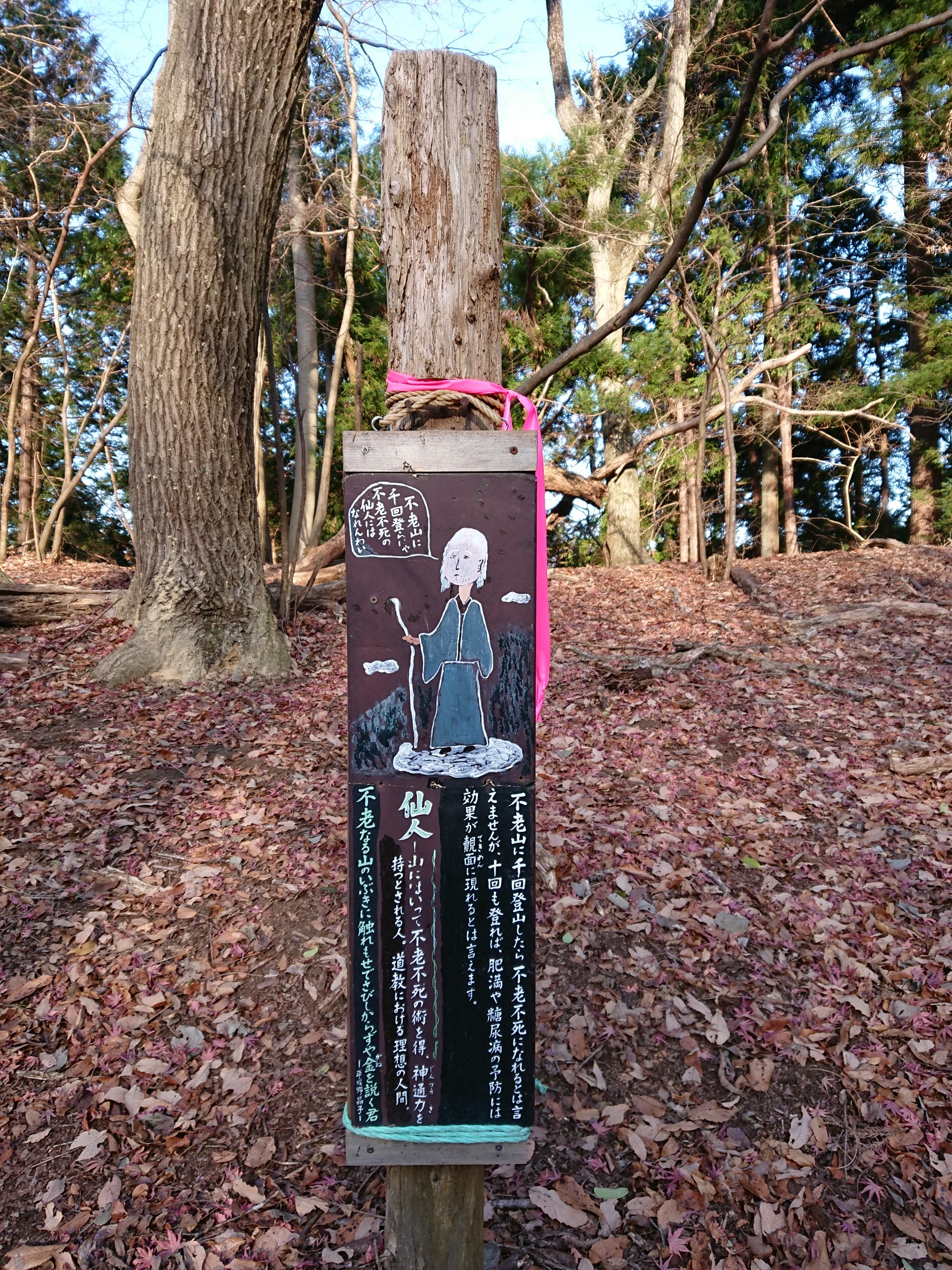 不老の活路を経由して不老山 樹下の二人 まこっちゃんさんの三国山 神奈川県 山梨県 静岡県 の活動データ Yamap ヤマップ