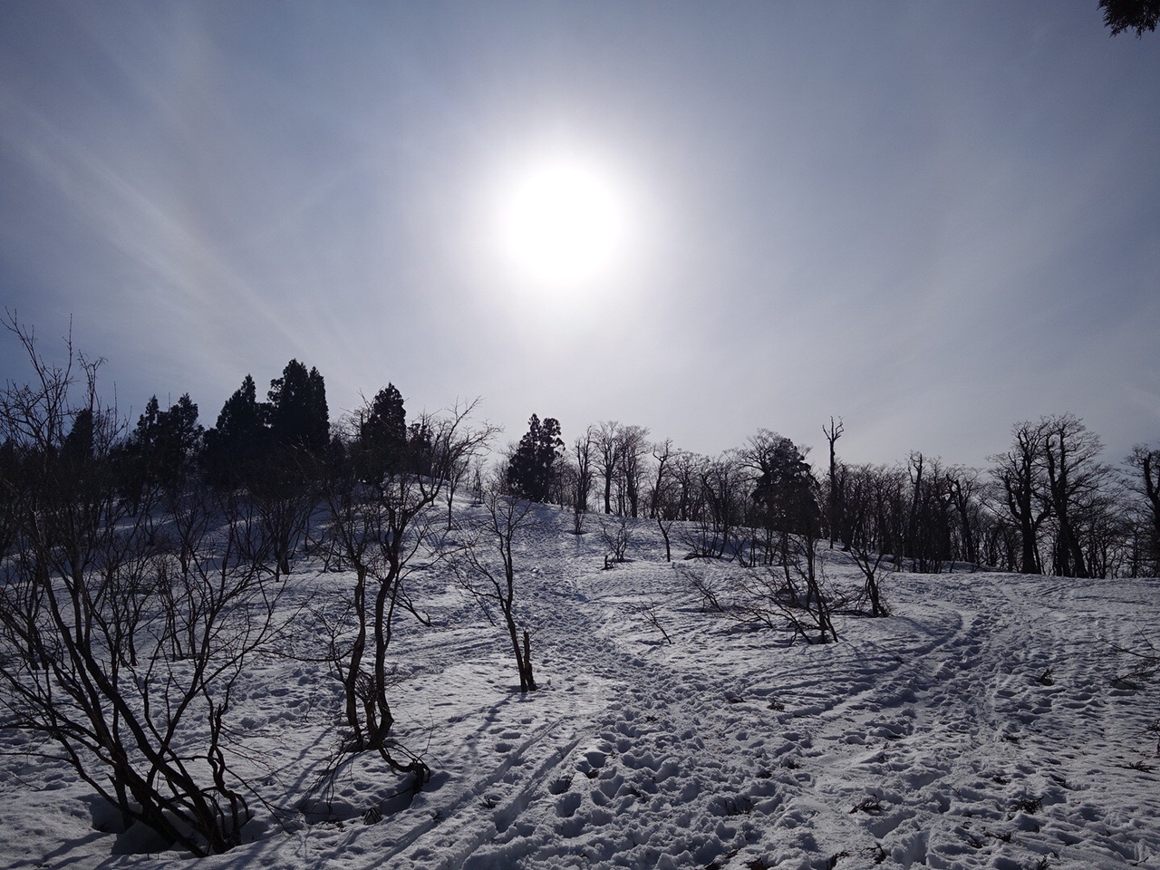 恐羅漢山スノーパーク おまけでなんちゃってbcパート2 ガオガオさんの恐羅漢山の活動データ Yamap ヤマップ