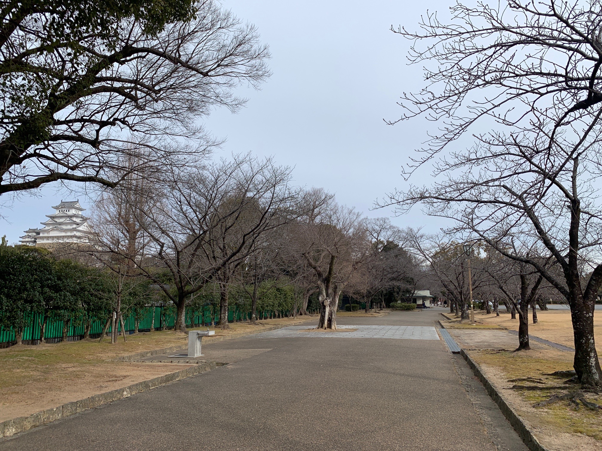 姫路市街地の低山ピーク巡り Kaz Heroさんの姫路市の活動日記 Yamap ヤマップ