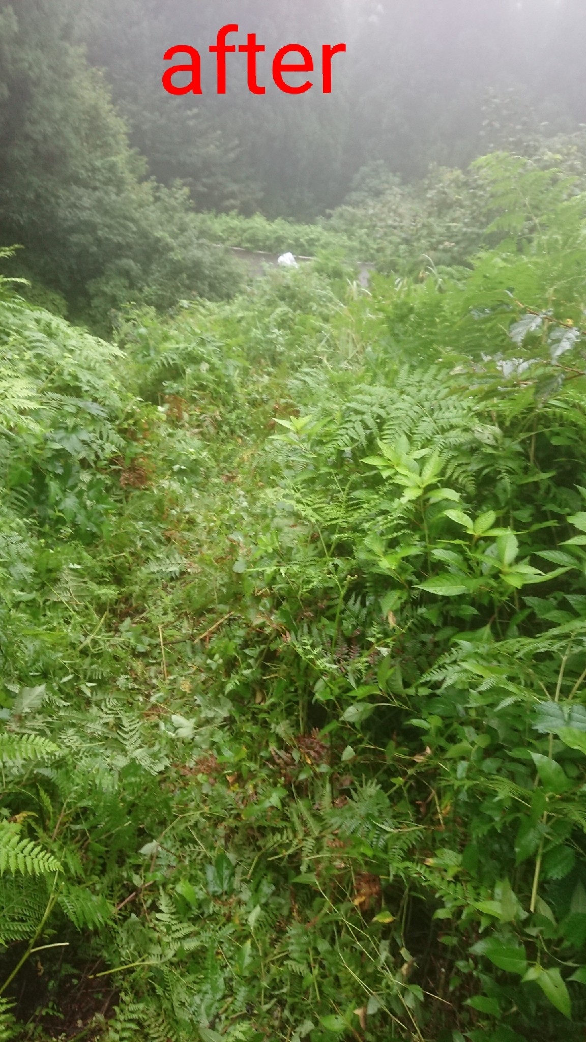 木六山・銀次郎山 悪場峠