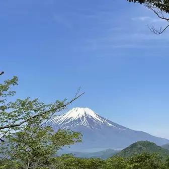 今日は富士山綺麗です。