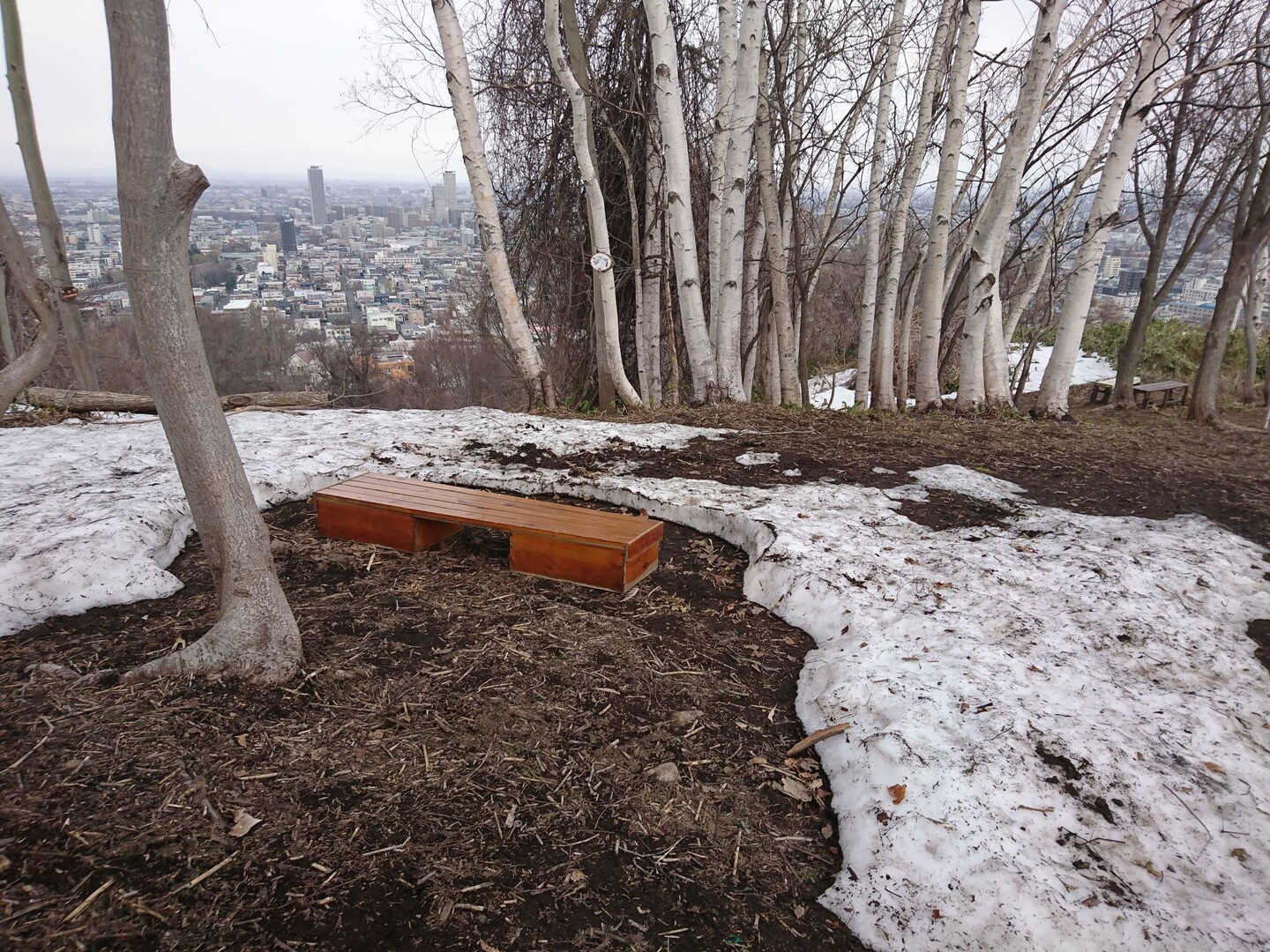 三角山登山道閉鎖中で赤坂山登山者賑わう 北前船さんの三角山 大倉山 円山の活動日記 Yamap ヤマップ