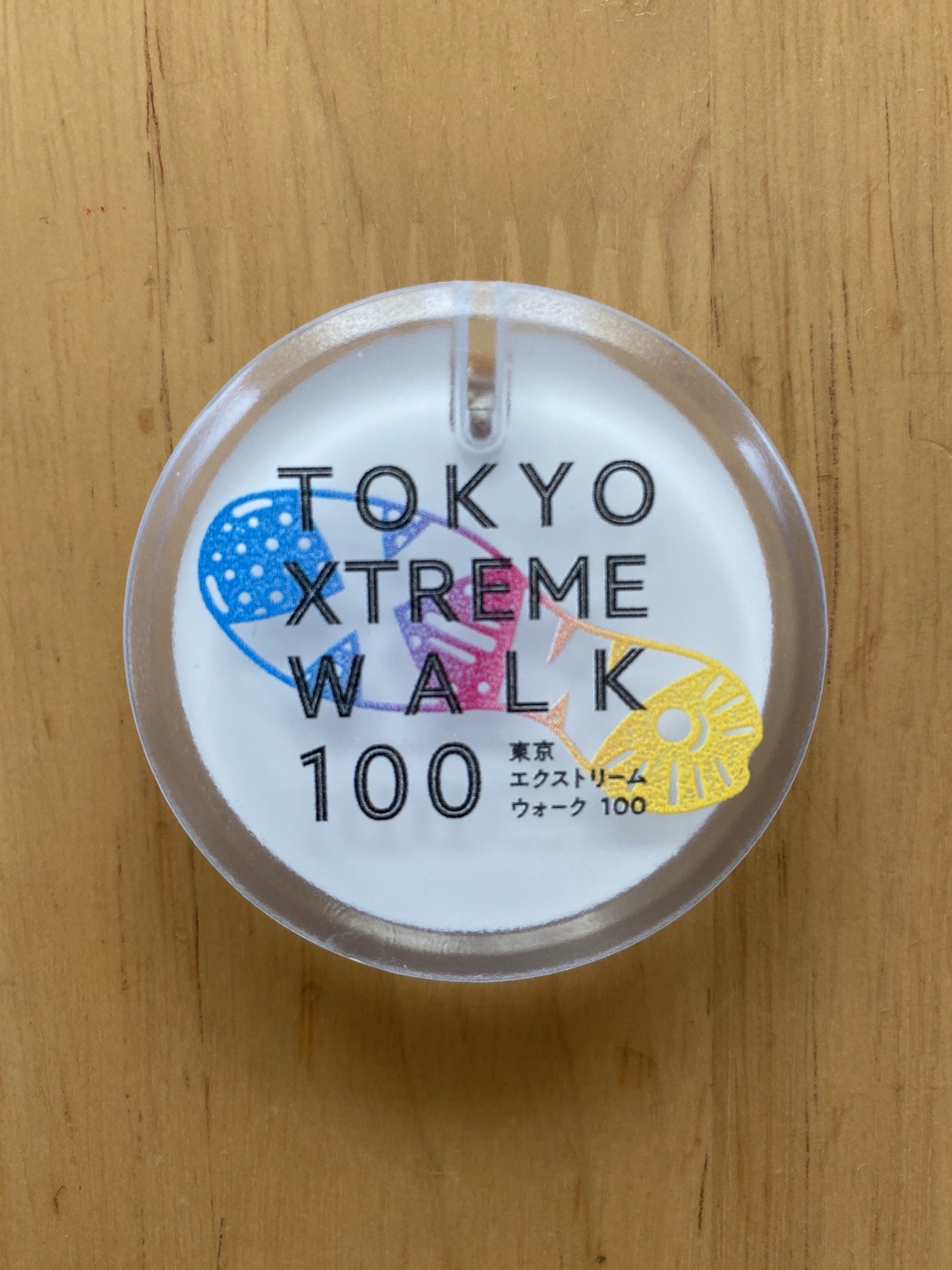 GINZA TANAKA 東京エクストリームウォークペンダントトップ