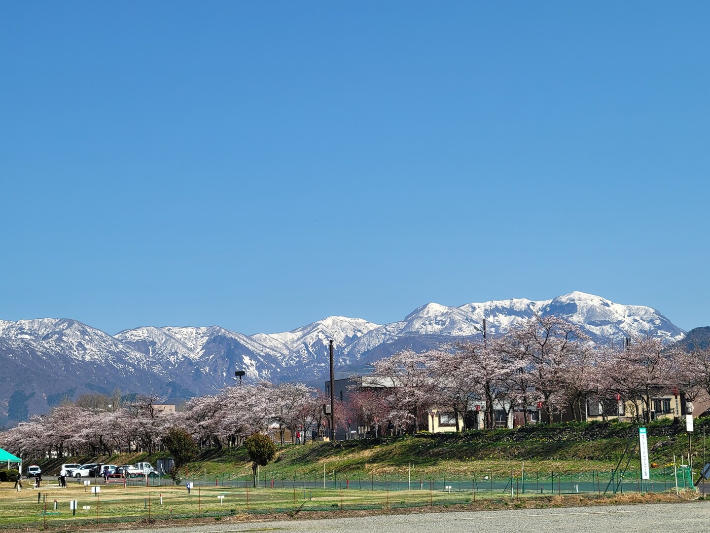 🌸サクラの名所巡り🌸 勝山弁天(五分... / kazuさんのモーメント | YAMAP / ヤマップ