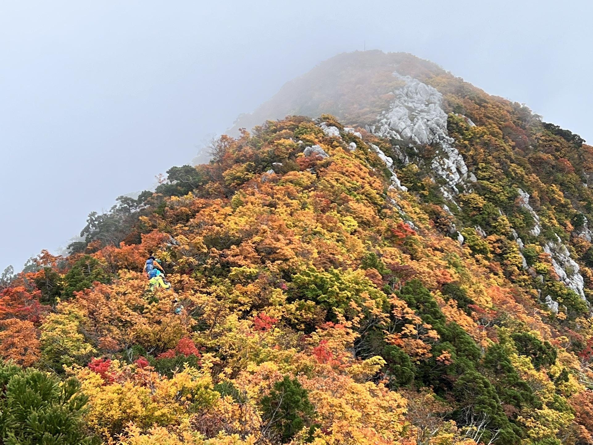 黒姫山 / CAPさんの黒姫山（青海黒姫山）の活動データ YAMAP / ヤマップ