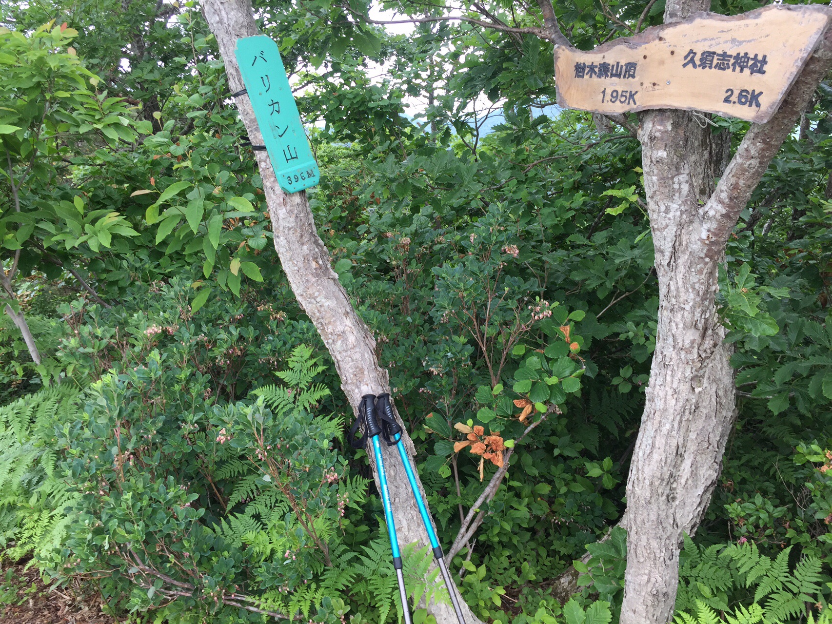 楢木森山、バリカン山(青森県青森市-2019-06-08) / ZAKUさんの青森市の 