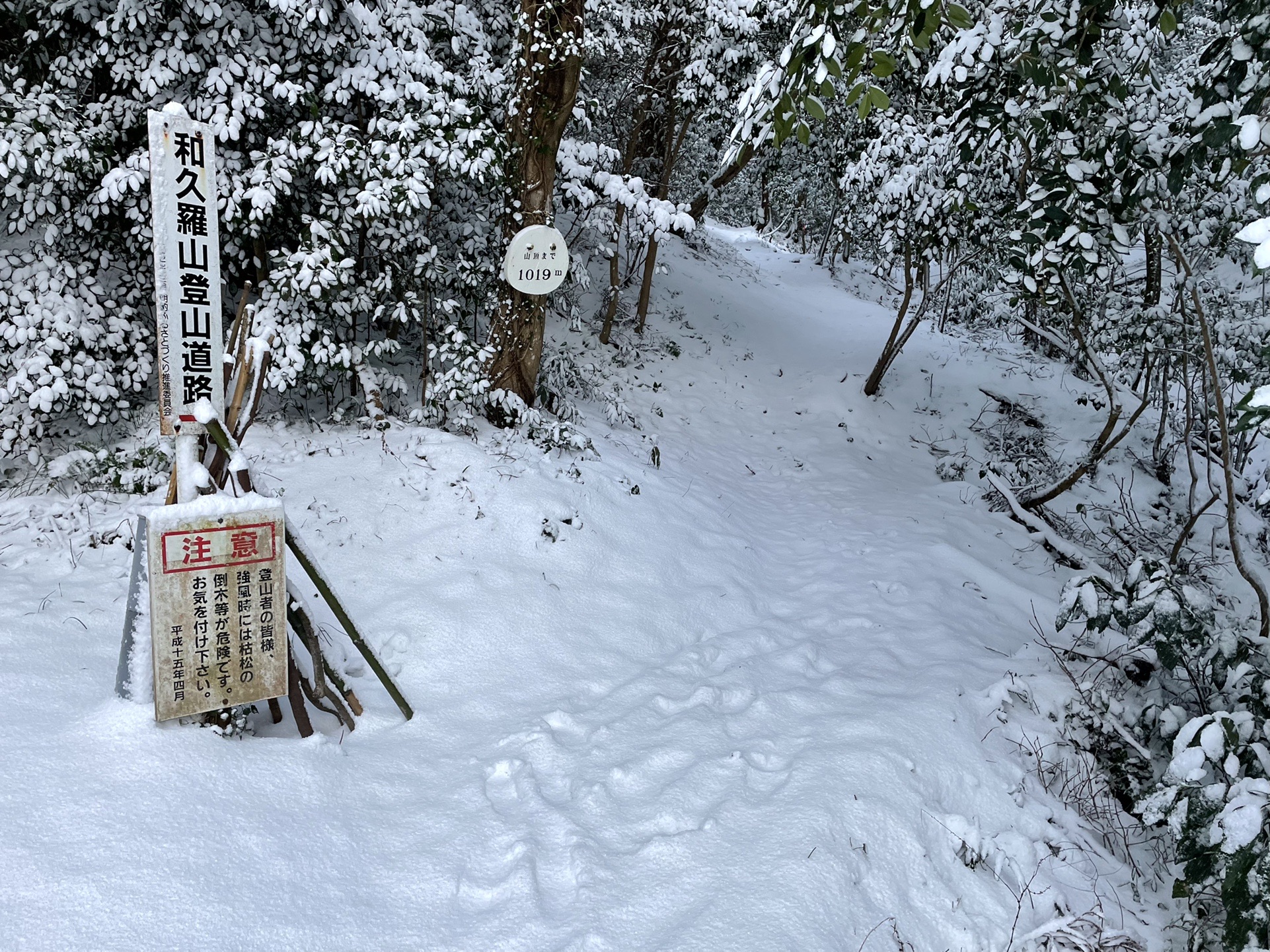 和久羅山 22 02 17 サラダさんの松江市の活動日記 Yamap ヤマップ