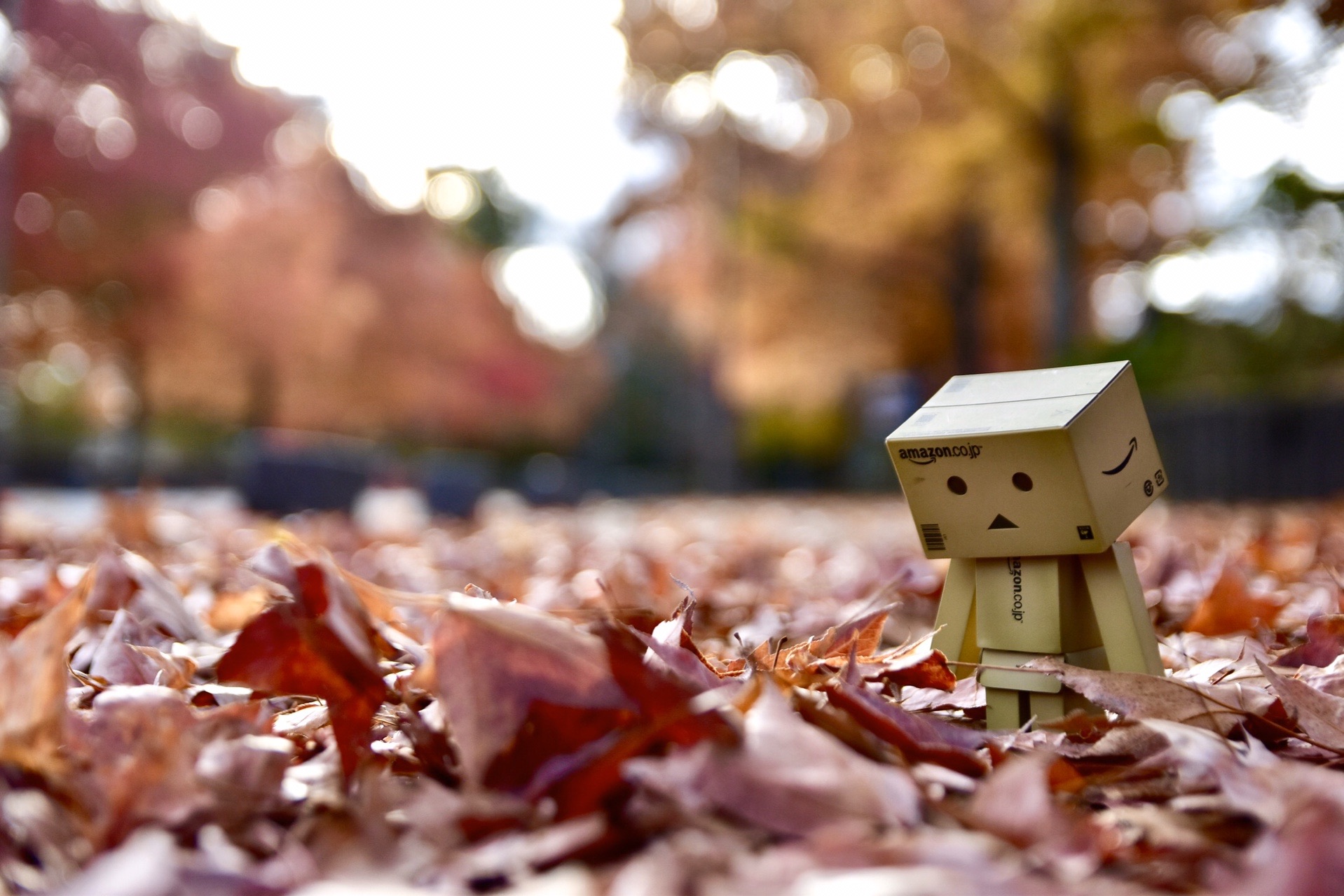 奈良 生駒山 信貴山 Taketonikさんの生駒山 神津嶽 大原山の活動日記 Yamap ヤマップ
