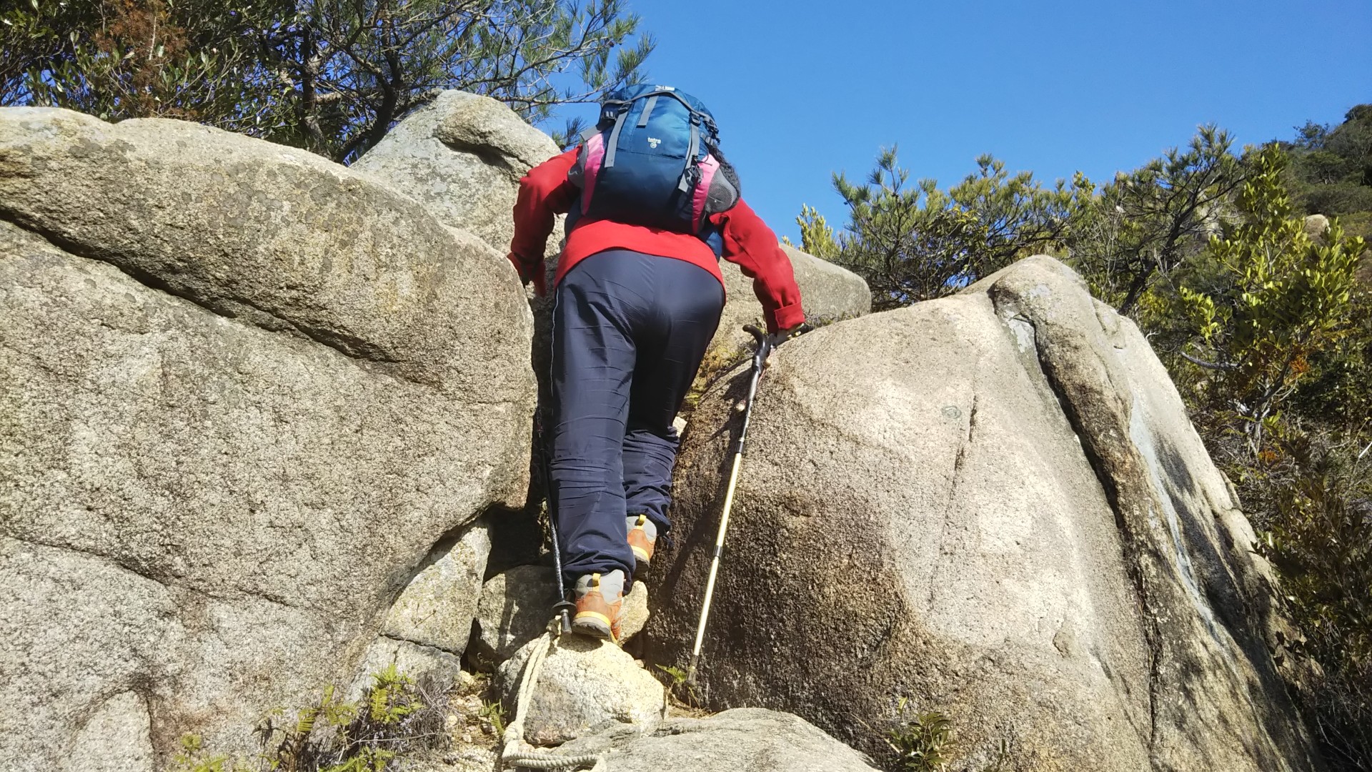 東風吹かば匂い起こせよ梅の花 防府市の裏の岩山を周回 右田ヶ岳 西目山 かめさんさんの右田ヶ岳 西目山 楞厳寺山の活動日記 Yamap ヤマップ